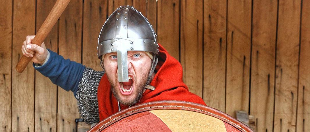 Viking cosplay