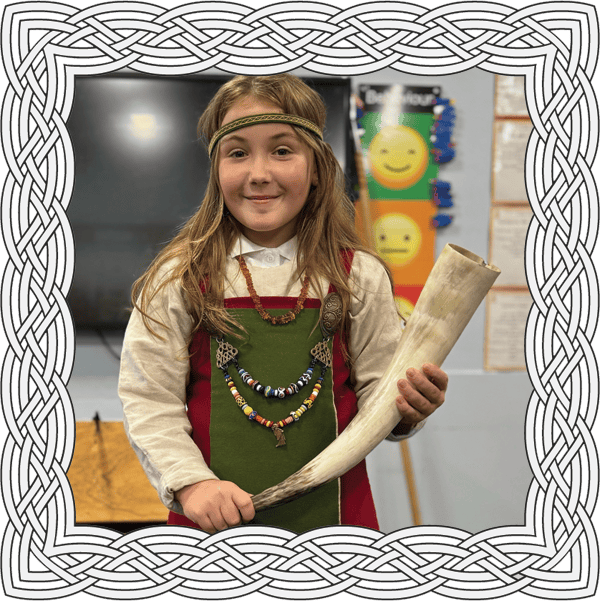 Viking school experience